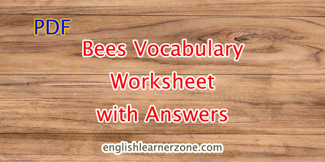 Useful Bees Vocabulary Worksheet with Answers
