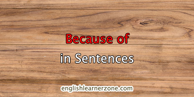 because of in a sentence