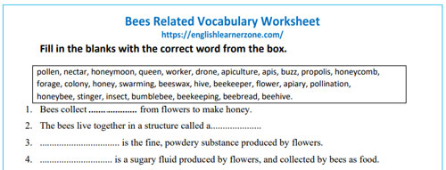 Bees Vocabulary Worksheet with Answers