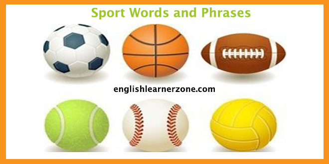Essential Sport  Words
