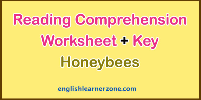 Reading Comprehension Worksheet Honeybees/ Bee Worksheet pdf