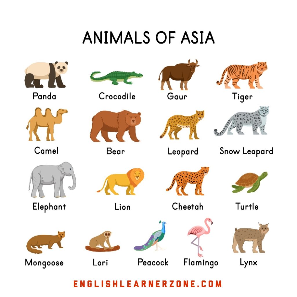 Top 10 Animals of Asia