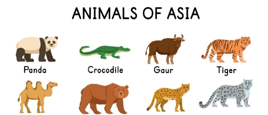 top 10 animals of Asia