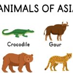 Top 10 Animals of Asia