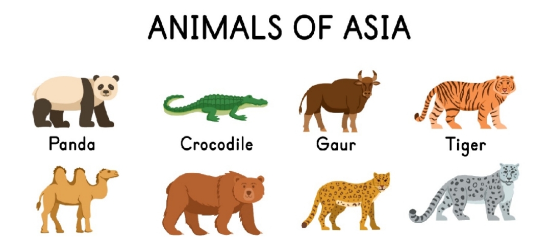 Top 10 Animals of Asia