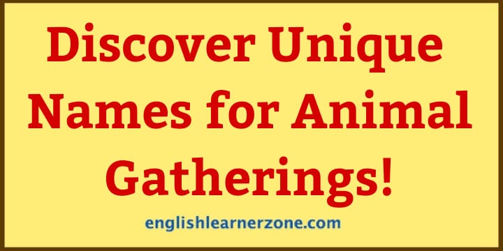 Top 10 Animal Group Names: Discover Unique Names for Animal Gatherings!